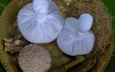 Kerala - Ayurveda Kizhi