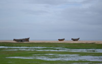 Kerala - Kovalam