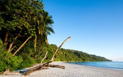 Andaman - HAVELOCK ISLAND ANDAMANS