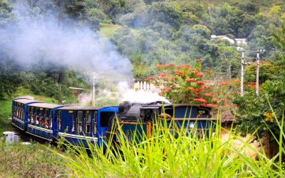 Nilgiri Mountain Railway - Ooty